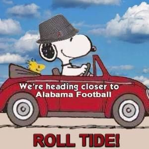 Meet your Posher, Lynn